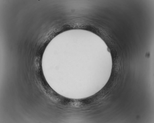 X0000115720695200912101429