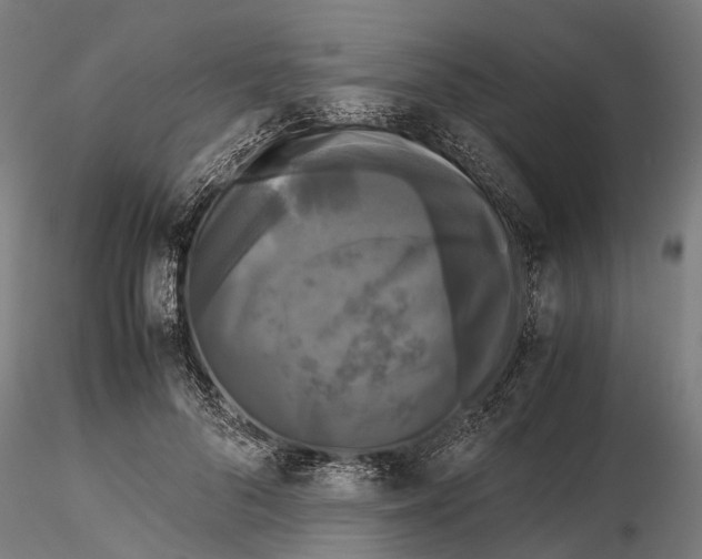 X0000115720696200912101429
