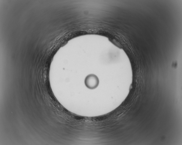 X0000115720697200912101429
