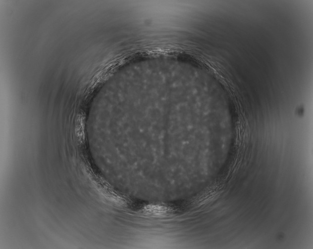 X0000115720699200912101428