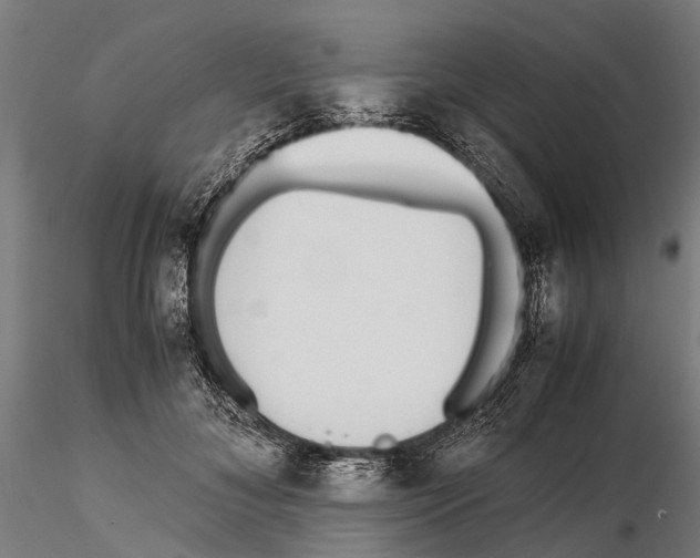 X0000115720700200912101428