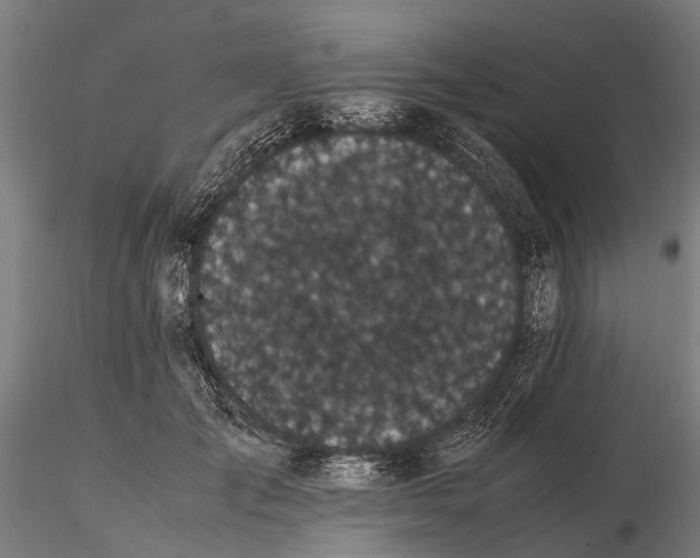 X0000115720701200912101428