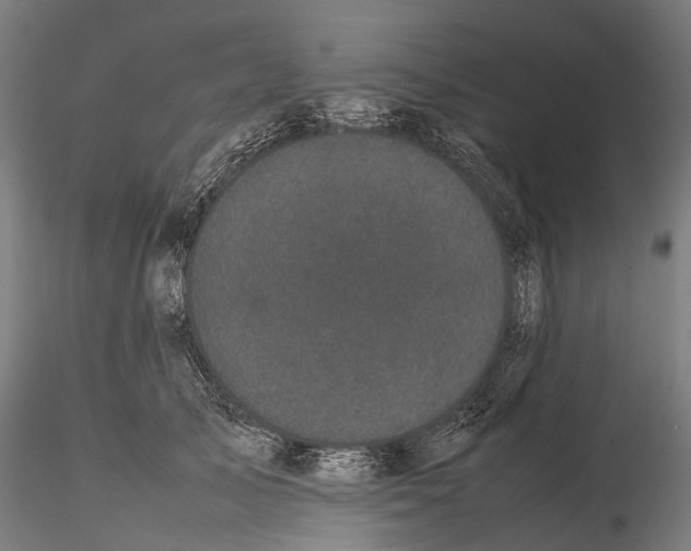 X0000115720705200912101428