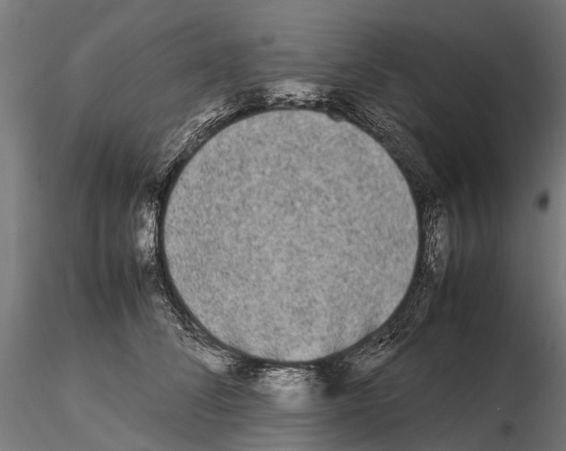 X0000115720708200912101428
