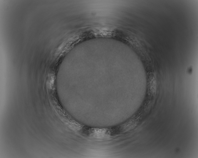 X0000115720709200912101428