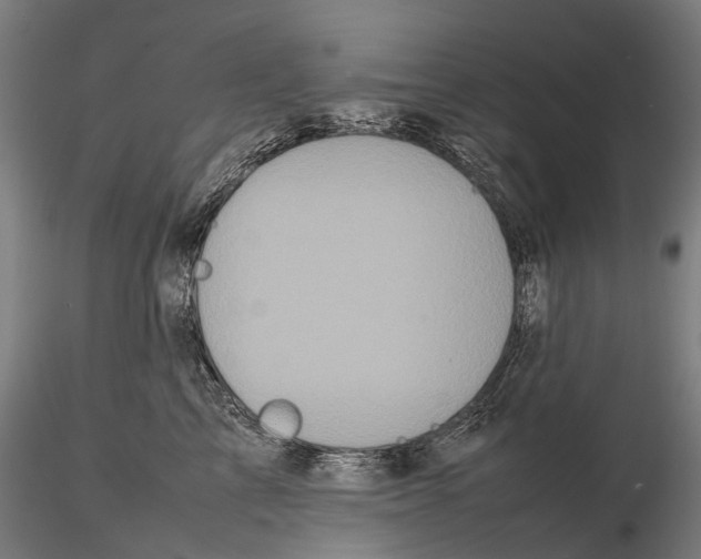 X0000115720713200912101428