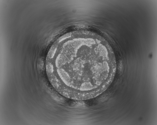 X0000115720715200912101428