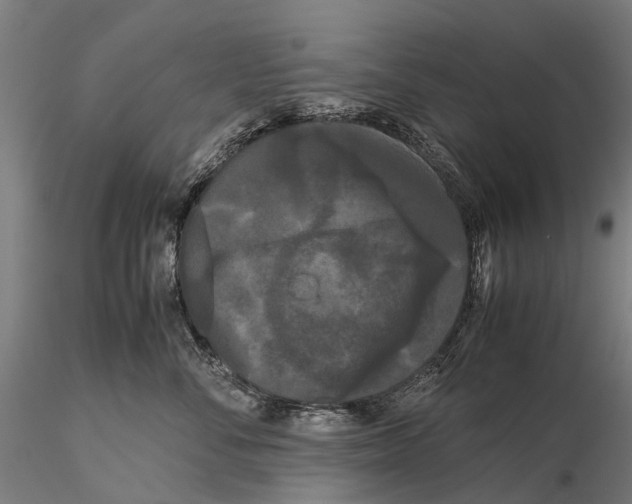 X0000115720716200912101428