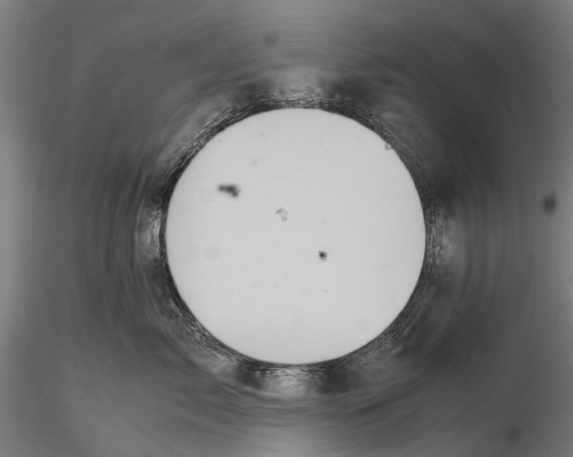 X0000115720717200912101428