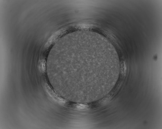 X0000115720718200912101428