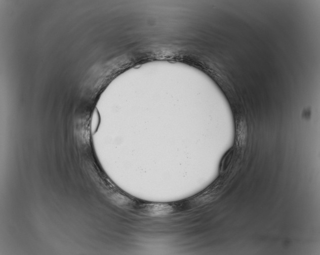 X0000115720719200912101428