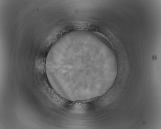 X0000115720720200912101428
