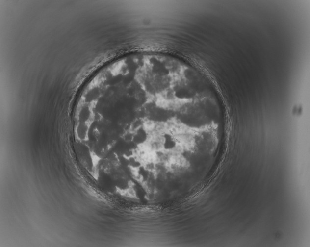 X0000115720721200912101427