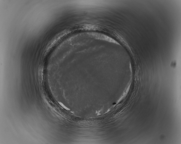 X0000115720722200912101427