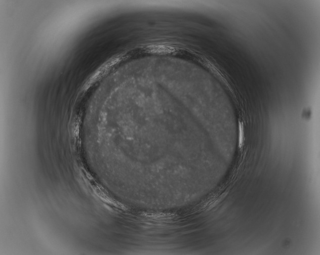 X0000115720723200912101427