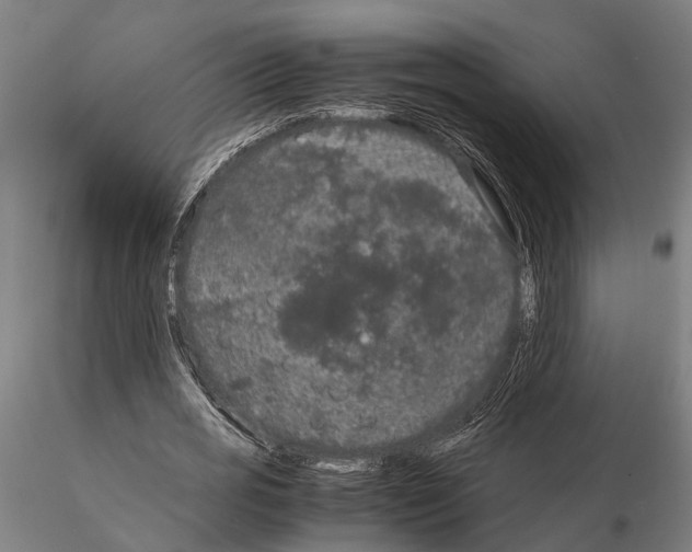 X0000115720725200912101428