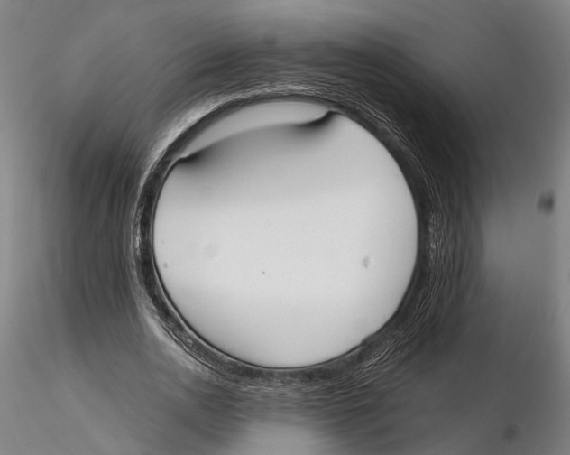 X0000115720726200912101428