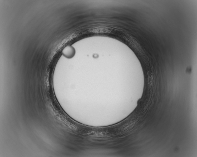 X0000115720727200912101428