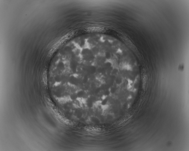 X0000115720729200912101428