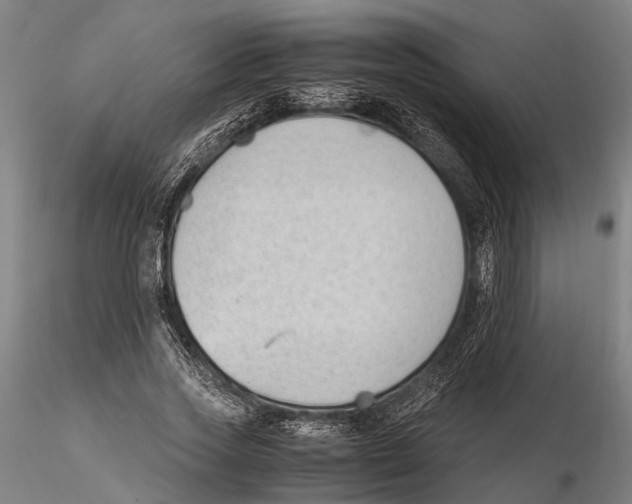 X0000115720733200912101428