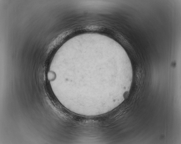 X0000115720734200912101428