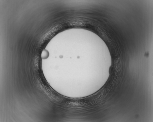 X0000115720735200912101428