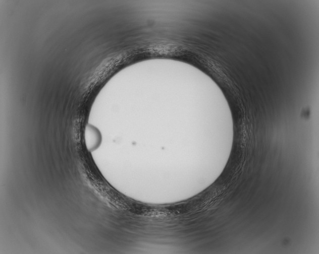 X0000115720738200912101428