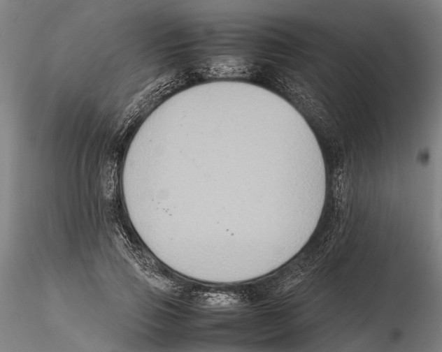 X0000115720741200912101428