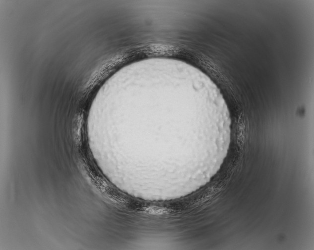 X0000115720742200912101428