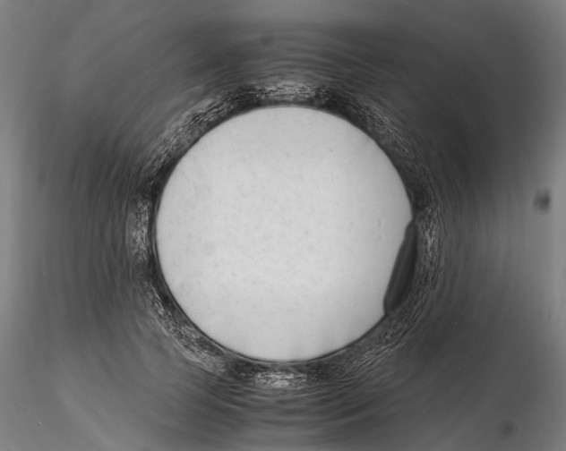 X0000115720745200912101428