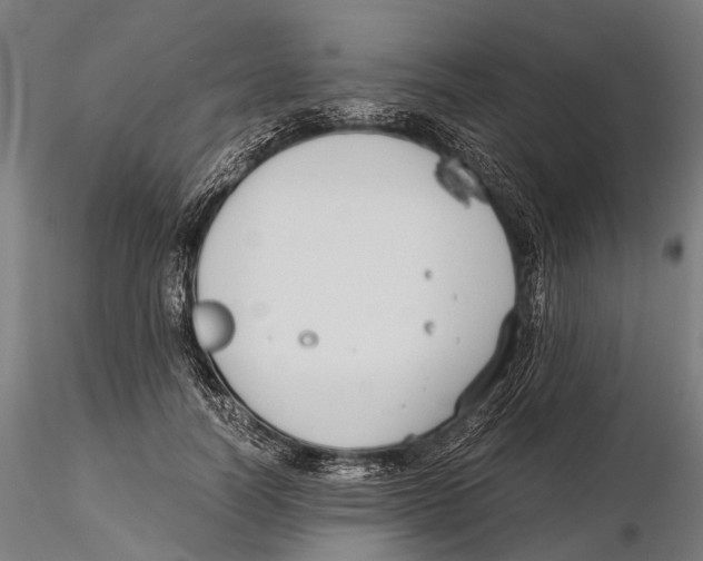 X0000115720746200912101428