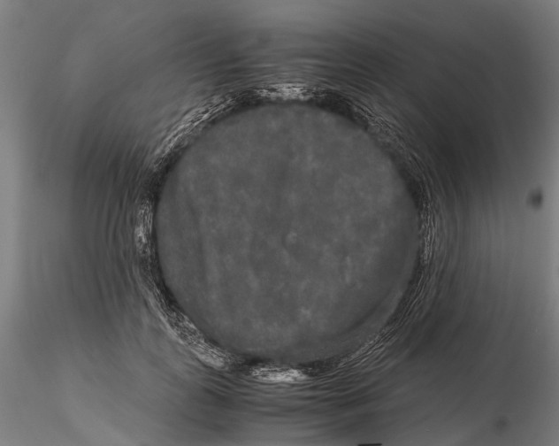 X0000115720747200912101428