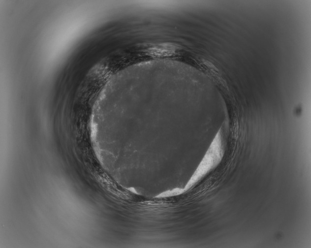 X0000115720763200912101428