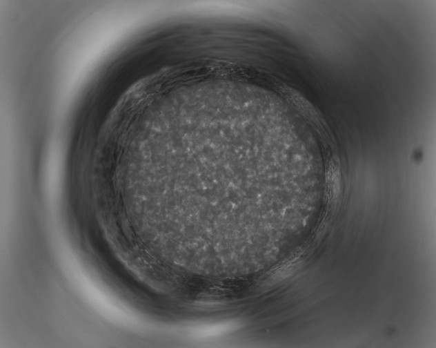 X0000115720765200912101428