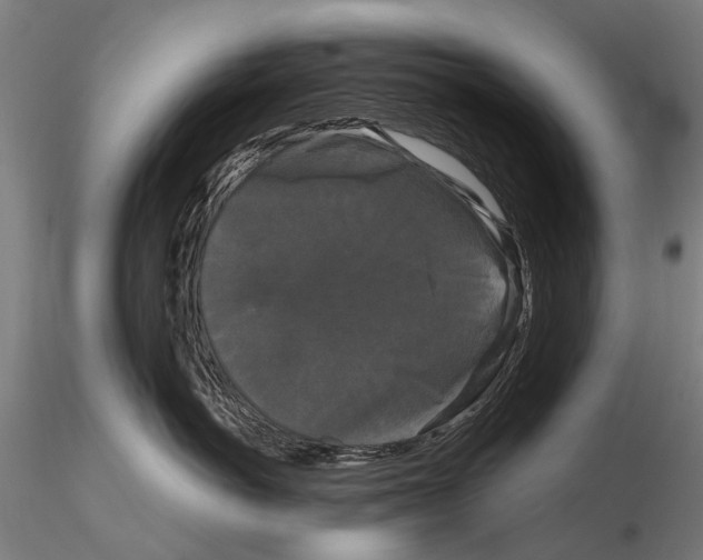 X0000115720766200912101428