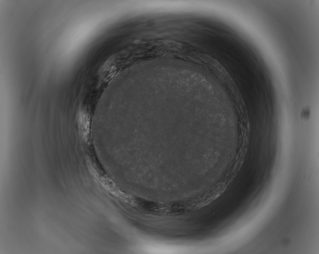 X0000115720767200912101428