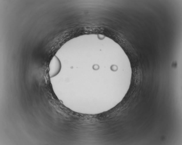 X0000115720770200912101427