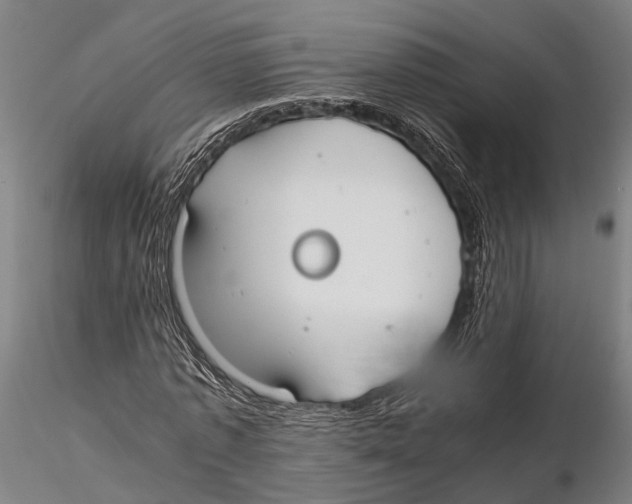 X0000115720773200912101427