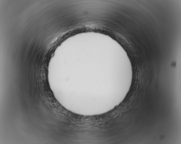 X0000115720776200912101427