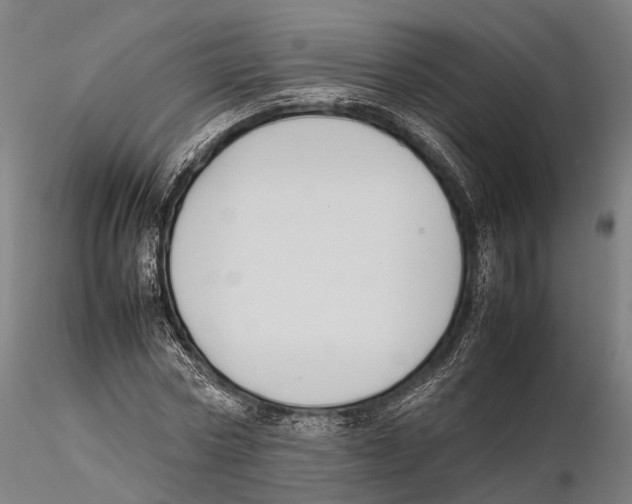 X0000115720778200912101427