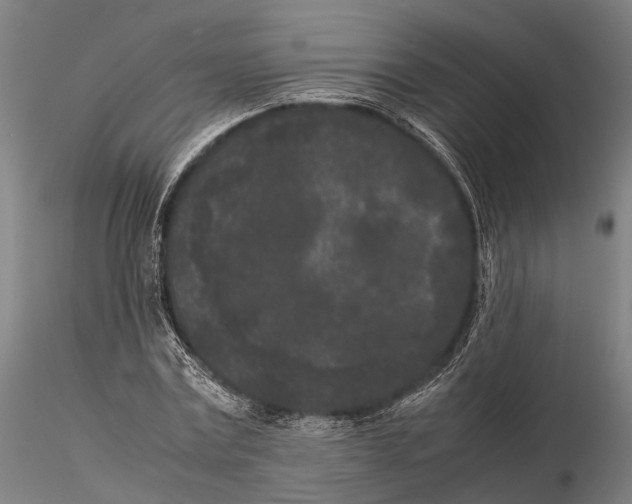 X0000115720779200912101427