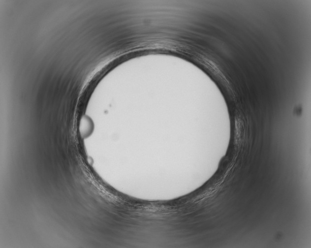 X0000115720780200912101427