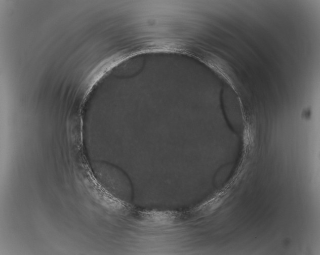X0000115720781200912101427