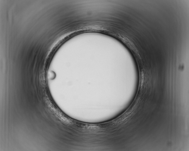 X0000115720784200912101427