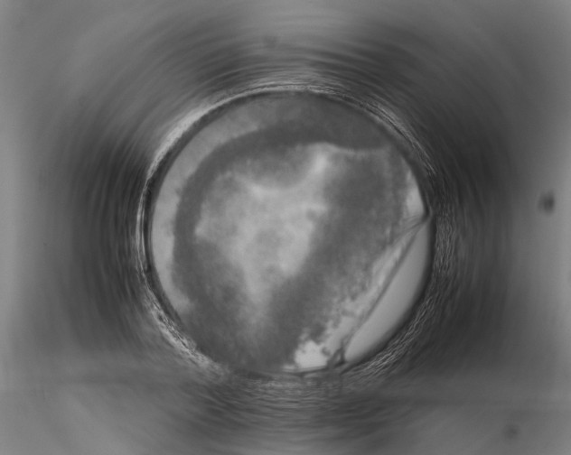 X0000115720788200912101427