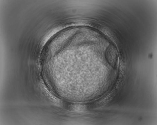 X0000115720789200912101427