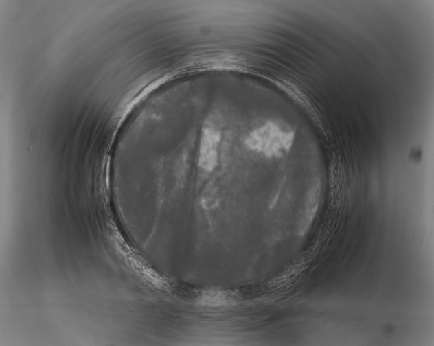 X0000115720790200912101427