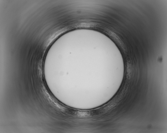 X0000115720794200912101427