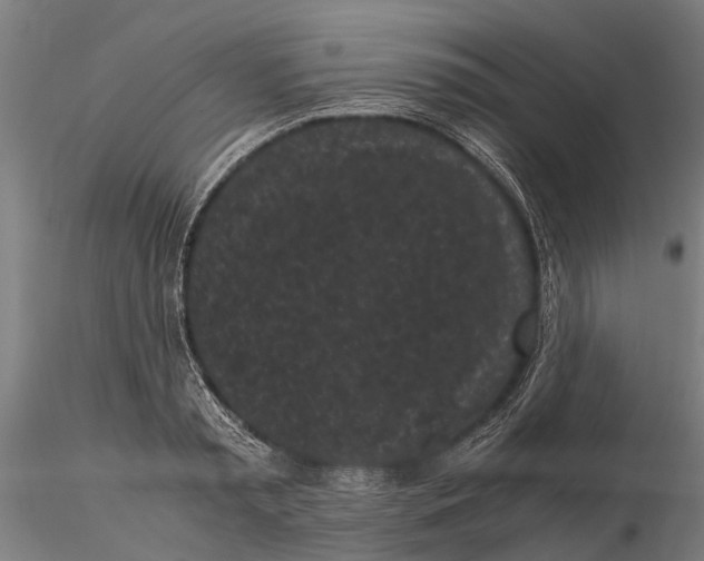 X0000115720797200912101427