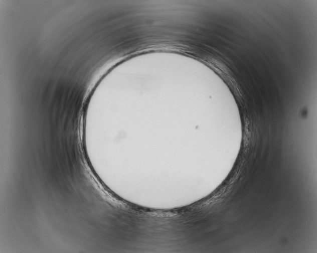 X0000115720804200912101427